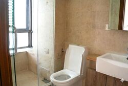 Holland Link (D10), Terrace #522817561